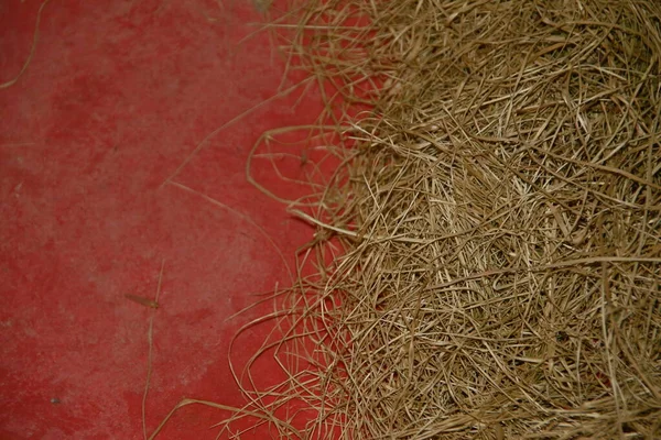 赤い油地に草を干したり乾燥させたり — ストック写真