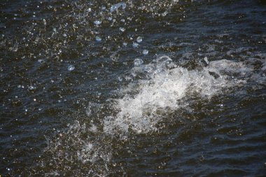 Ağustos 'ta göl kenarındaki bir çeşmede su fışkırıyor.
