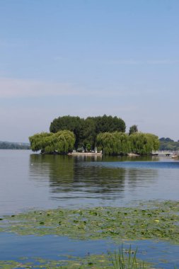 Baraj göleti ve parktaki ağaçlar