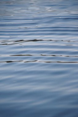 Ağustosta güneşli bir günde gölette su