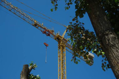 Bir inşaat sahasında sarı Çin inşaat vinci