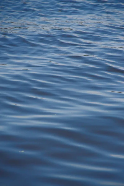 Вода Пруду Прекрасный Солнечный День Августе — стоковое фото