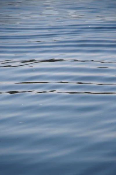 Вода Пруду Прекрасный Солнечный День Августе — стоковое фото