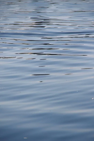 Agua Estanque Hermoso Día Soleado Agosto — Foto de Stock