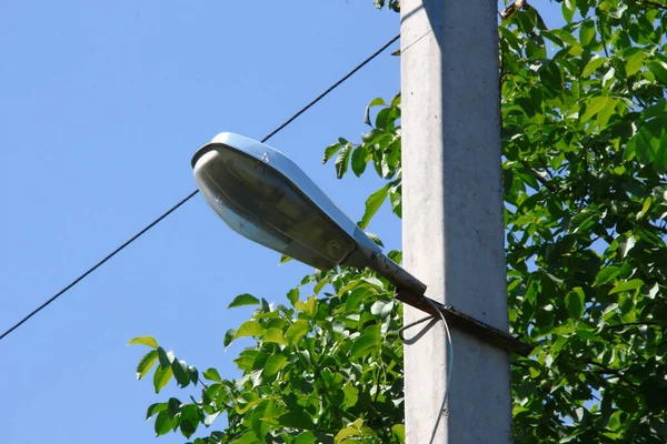 Kraftledningar Himlen Bakgrund — Stockfoto