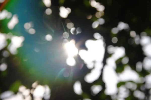 Defokus Slunečních Paprsků Pozadí Zelených Listů — Stock fotografie