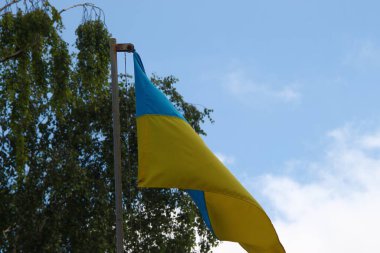 Ukrayna 'nın sarı ve mavi bayrağı rüzgarda dalgalanıyor.