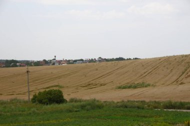 Ağustos ayında Ukrayna 'nın batısındaki orman ve tarlalar