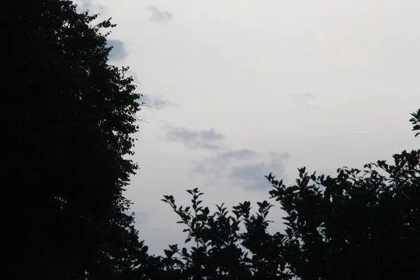 八月日落时分的夜空 — 图库照片