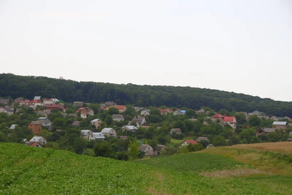 Les Pole Západní Ukrajiny Srpnu — Stock fotografie