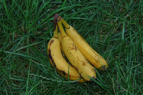 Gelbe Leckere Bananen Stricken — Stockfoto