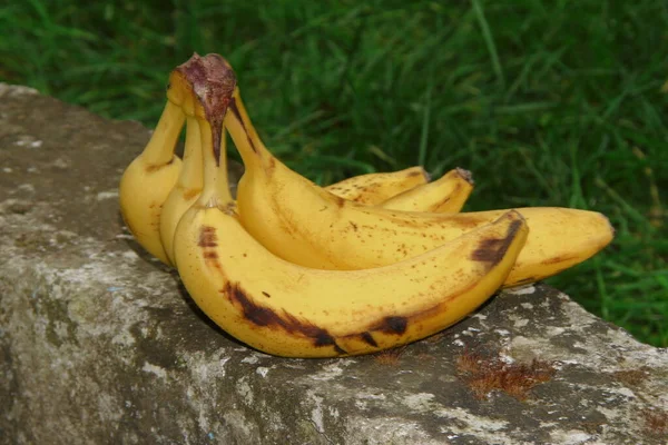 Gelbe Leckere Bananen Stricken — Stockfoto