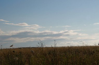 Ağustosta gün batımında güzel bir gökyüzü