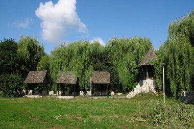 Ağustosta parkın güzel manzarası