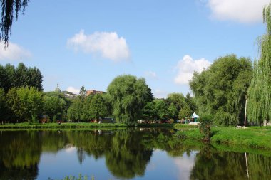 Ağustosta parkın güzel manzarası