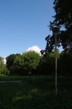 Ağustosta parkın güzel manzarası