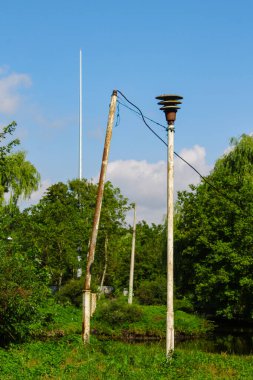 Parkta güzel doğa ve ağustosta yeşil ağaçlar