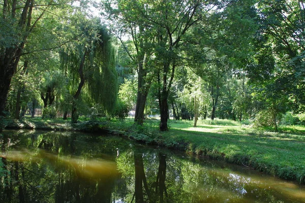 Prachtige Natuur Het Park Groene Bomen Augustus — Stockfoto