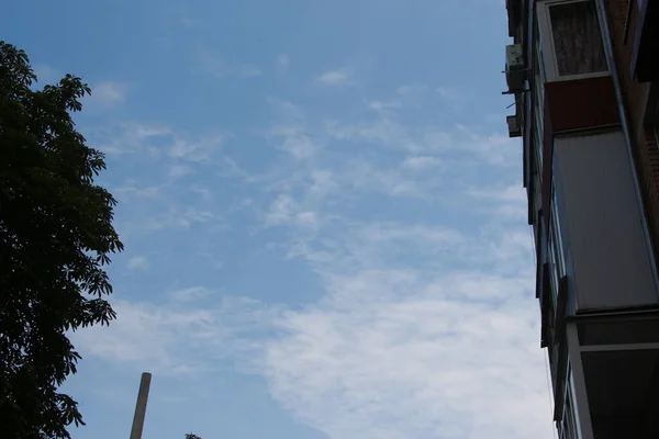 Hutan Dan Langit Biru Jalan — Stok Foto