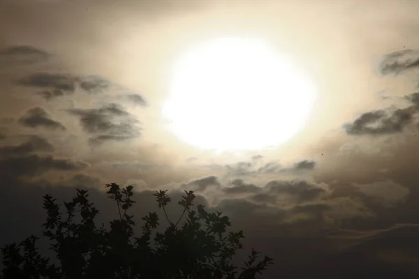 Pôr Sol Noite Nuvens Amarelas — Fotografia de Stock