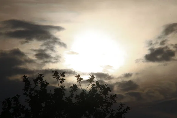 Tramonto Sera Nuvole Gialle — Foto Stock