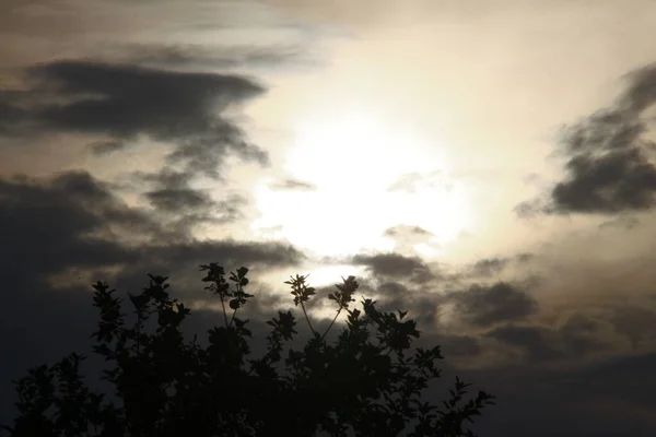Pôr Sol Noite Nuvens Amarelas — Fotografia de Stock
