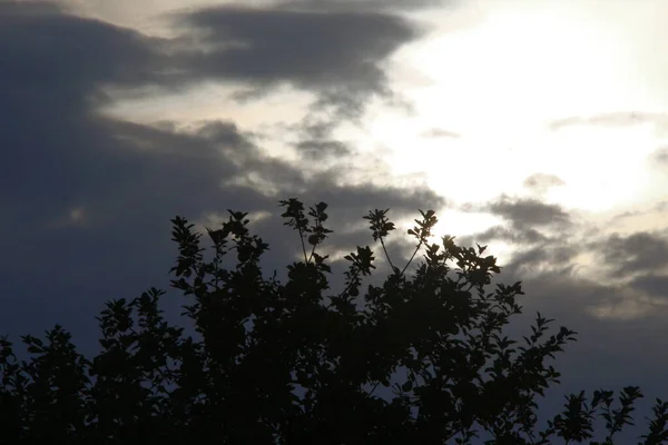 Pôr Sol Noite Nuvens Amarelas — Fotografia de Stock