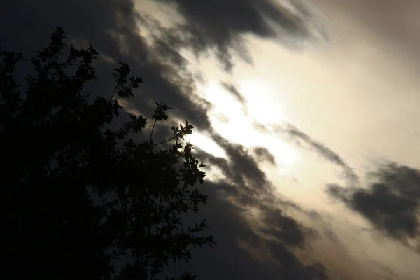 Puesta Sol Noche Nubes Amarillas —  Fotos de Stock