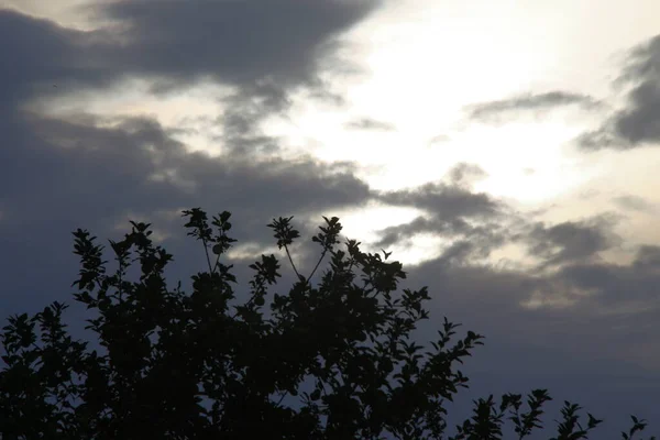 Pôr Sol Noite Nuvens Amarelas — Fotografia de Stock