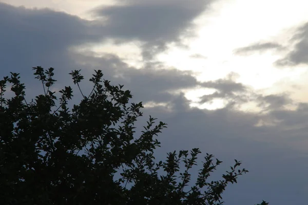 Puesta Sol Noche Nubes Amarillas —  Fotos de Stock