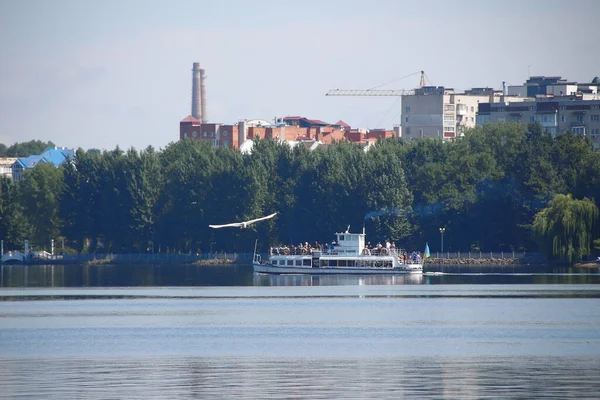 Weißer Vogel Fliegt Über Den Teich — Stockfoto