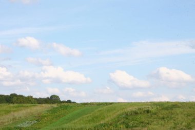 Ağustosta güzel bir manzara, yani orman ve tarlalı mavi gökyüzü.