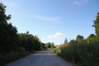 Ağustosta güzel bir manzara, yani orman ve tarlalı mavi gökyüzü.