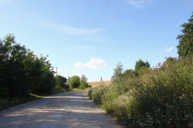 Ağustosta güzel bir manzara, yani orman ve tarlalı mavi gökyüzü.