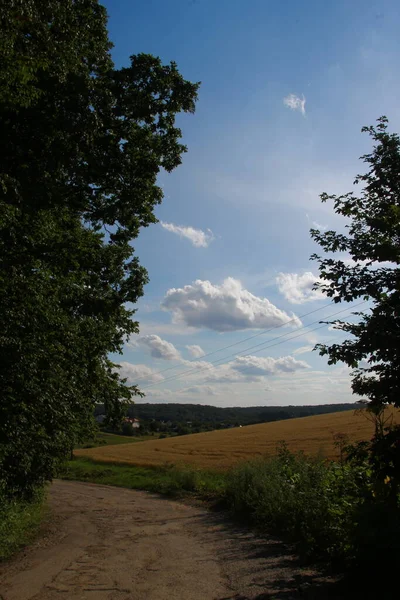 Schöne Landschaft August Nämlich Wald Und Blauer Himmel Mit Feld — Stockfoto