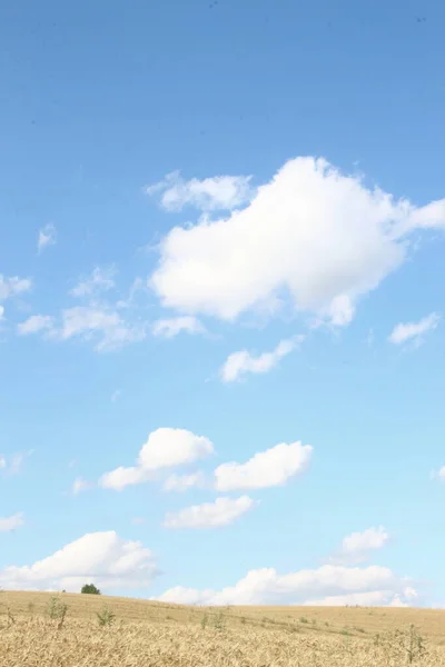 8月の青空と白い雲 — ストック写真