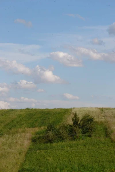 Bela Paisagem Agosto Isto Floresta Céu Azul Com Campo — Fotografia de Stock