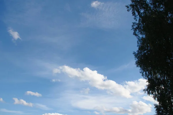 Beautiful Landscape August Namely Forest Blue Sky Field — Stock Photo, Image