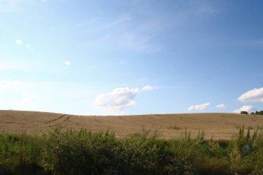 Ağustosta güzel bir manzara, yani orman ve tarlalı mavi gökyüzü.