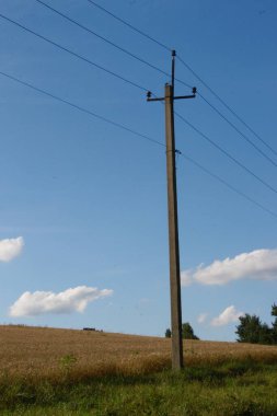 Ağustosta güzel bir manzara, yani orman ve tarlalı mavi gökyüzü.