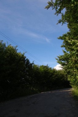 Ağustosta güzel bir manzara, yani orman ve tarlalı mavi gökyüzü.