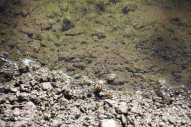 Yağmurdan sonra yol kenarında su birikintisi