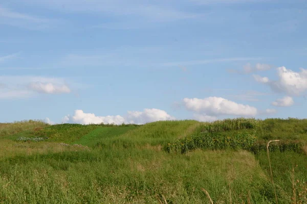 Beautiful Landscape August Namely Forest Blue Sky Field — Stock Photo, Image