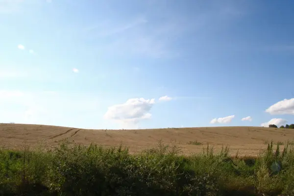 Beau Paysage Août Savoir Forêt Ciel Bleu Avec Champ — Photo