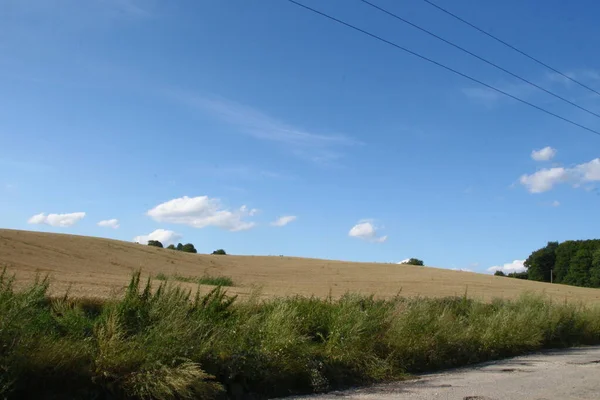 Schöne Landschaft August Nämlich Wald Und Blauer Himmel Mit Feld — Stockfoto