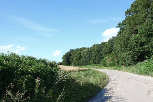 Schöne Landschaft August Nämlich Wald Und Blauer Himmel Mit Feld — Stockfoto