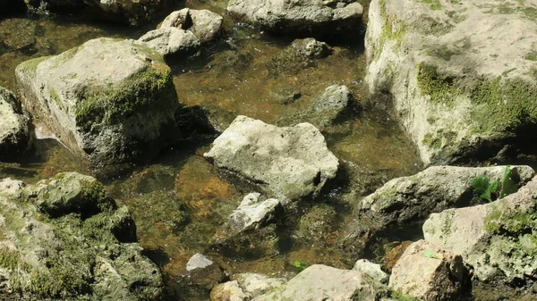 Βρόμικο Λασπωμένο Νερό Στο Ποτάμι Στο Πάρκο — Φωτογραφία Αρχείου