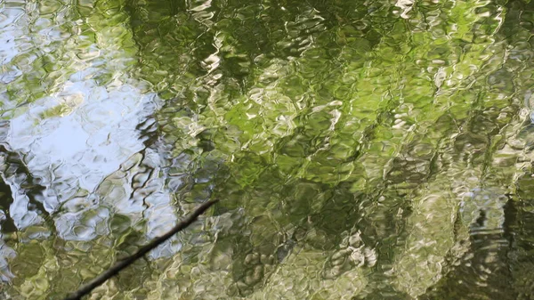 Acqua Sporca Fangosa Nel Fiume Nel Parco — Foto Stock