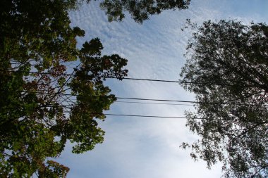Gökyüzü arkaplanındaki elektrik hatları