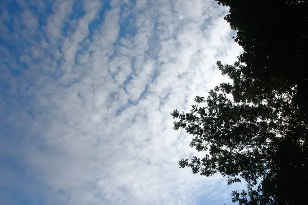 Indah Langit Dan Awan Pada Bulan Agustus — Stok Foto